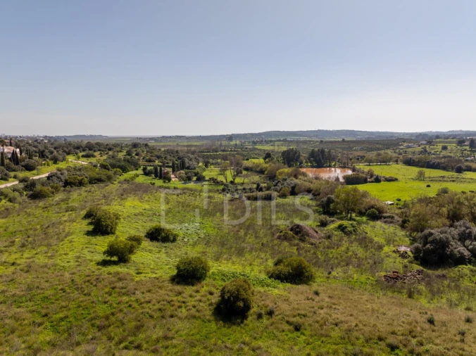 Terreno para Venda em Mexilhoeira Grande Foto 10