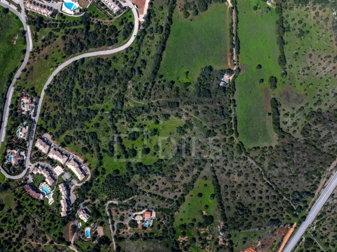 Terreno para Venda em Mexilhoeira Grande Foto 15