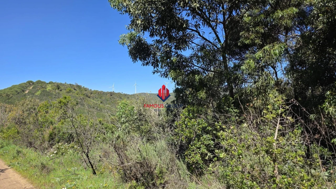 Terreno Agricola ou Rústico para Venda em Bensafrim e Barão de São João Foto 10