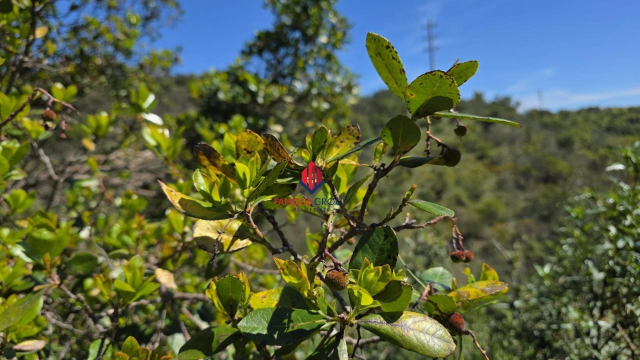 Terreno Agricola ou Rústico para Venda em Bensafrim e Barão de São João Foto 31