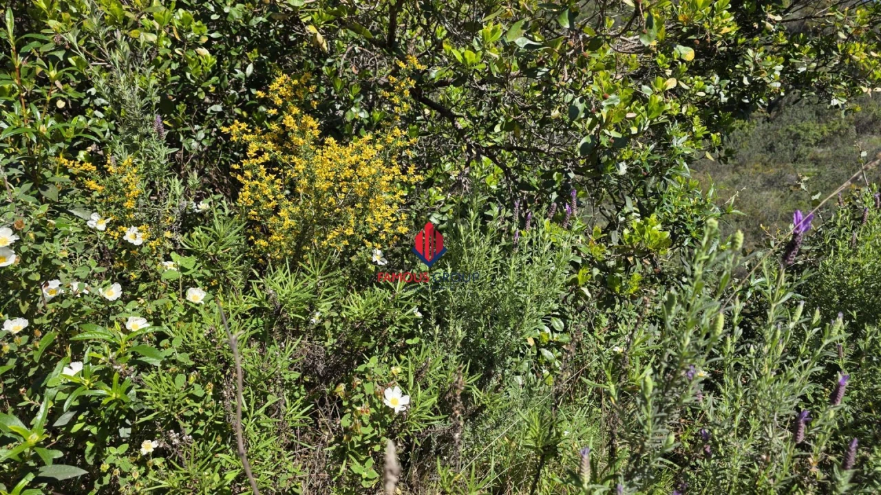 Terreno Agricola ou Rústico para Venda em Bensafrim e Barão de São João Foto 34