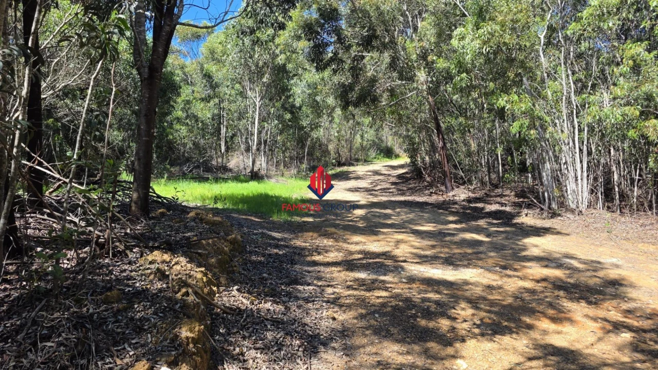 Terreno Agricola ou Rústico para Venda em Bensafrim e Barão de São João Foto 1