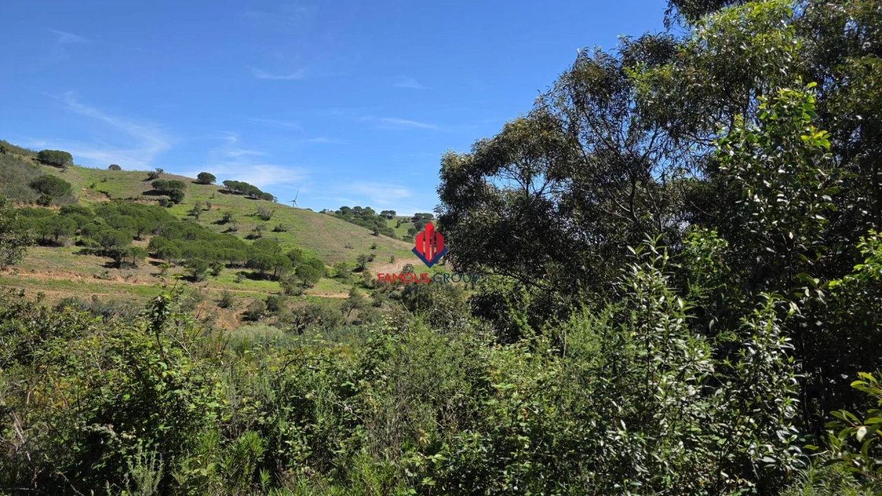 Terreno Agricola ou Rústico para Venda em Bensafrim e Barão de São João Foto 14