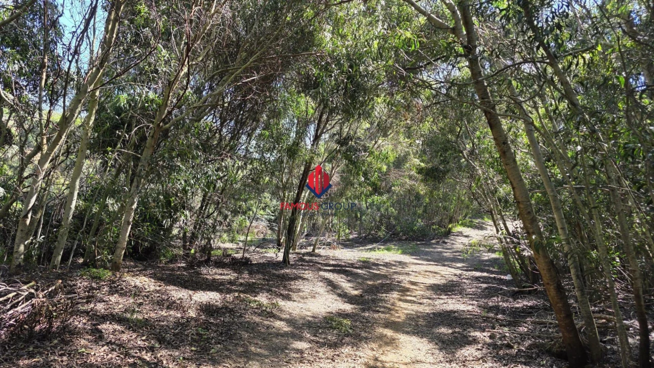 Terreno Agricola ou Rústico para Venda em Bensafrim e Barão de São João Foto 3