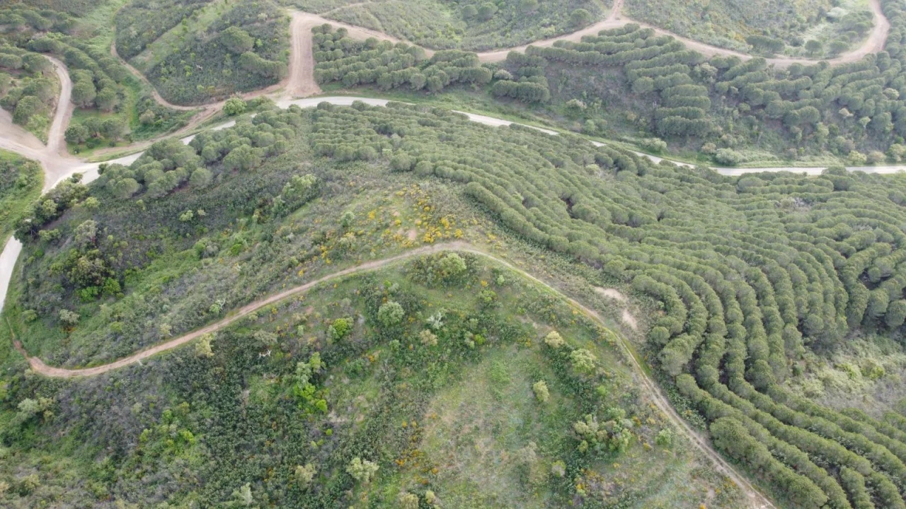 Terreno Agricola ou Rústico para Venda em Bensafrim e Barão de São João Foto 39