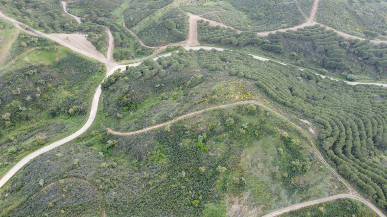 Terreno Agricola ou Rústico para Venda em Bensafrim e Barão de São João Foto 41