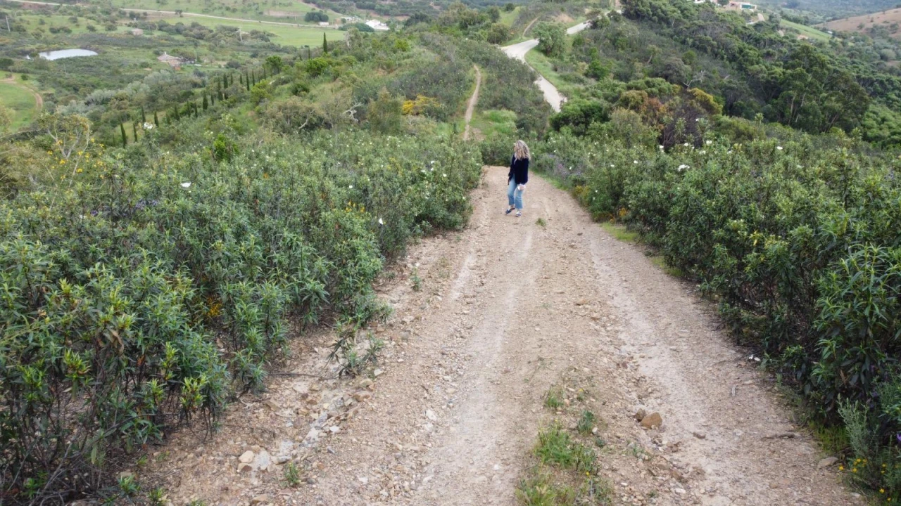 Terreno Agricola ou Rústico para Venda em Bensafrim e Barão de São João Foto 44