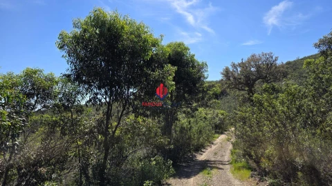 Terreno Agricola ou Rústico para Venda em Bensafrim e Barão de São João