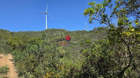 Terreno Agricola ou Rústico para Venda em Bensafrim e Barão de São João