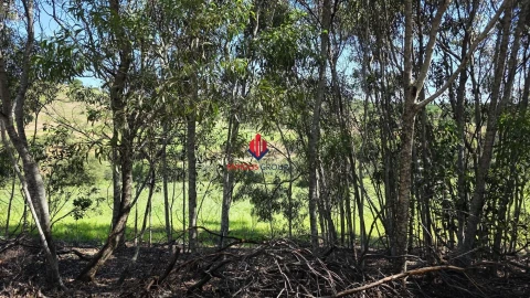 Terreno Agricola ou Rústico para Venda em Bensafrim e Barão de São João