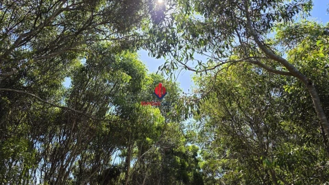 Terreno Agricola ou Rústico para Venda em Bensafrim e Barão de São João