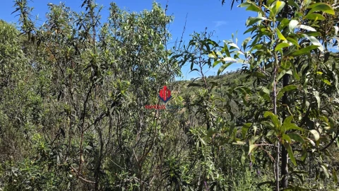 Terreno Agricola ou Rústico para Venda em Bensafrim e Barão de São João