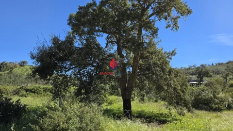 Terreno Agricola ou Rústico para Venda em Bensafrim e Barão de São João