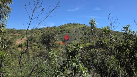Terreno Agricola ou Rústico para Venda em Bensafrim e Barão de São João