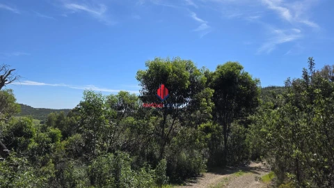 Terreno Agricola ou Rústico para Venda em Bensafrim e Barão de São João