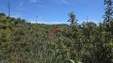 Terreno Agricola ou Rústico para Venda em Bensafrim e Barão de São João