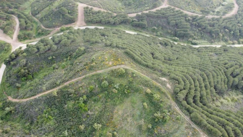 Terreno Agricola ou Rústico para Venda em Bensafrim e Barão de São João