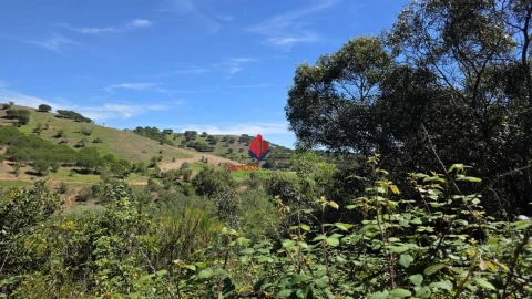 Terreno Agricola ou Rústico para Venda em Bensafrim e Barão de São João