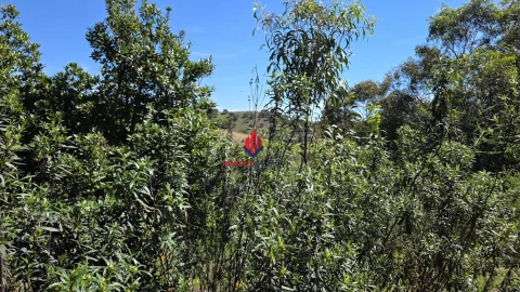Terreno Agricola ou Rústico para Venda em Bensafrim e Barão de São João