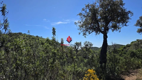 Terreno Agricola ou Rústico para Venda em Bensafrim e Barão de São João