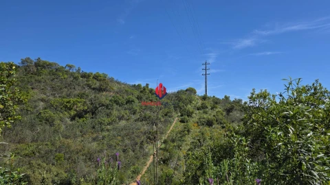Terreno Agricola ou Rústico para Venda em Bensafrim e Barão de São João