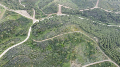 Terreno Agricola ou Rústico para Venda em Bensafrim e Barão de São João