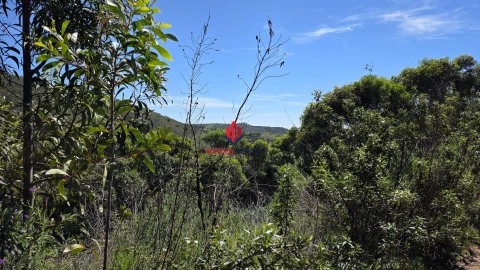 Terreno Agricola ou Rústico para Venda em Bensafrim e Barão de São João