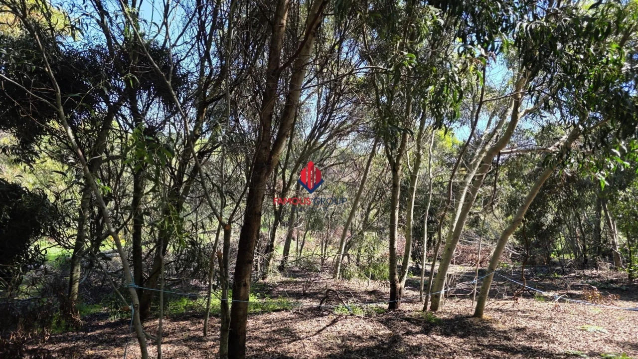 Terreno Agricola ou Rústico para Venda em Bensafrim e Barão de São João Foto 7
