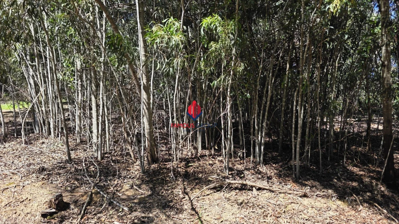 Terreno Agricola ou Rústico para Venda em Bensafrim e Barão de São João Foto 8