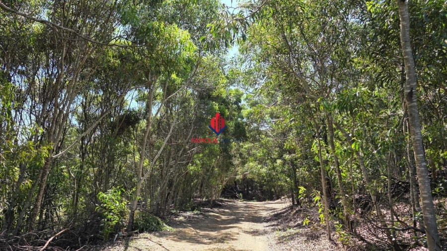 Terreno Agricola ou Rústico para Venda em Bensafrim e Barão de São João Foto 2