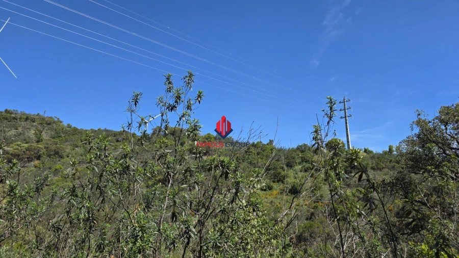 Terreno Agricola ou Rústico para Venda em Bensafrim e Barão de São João Foto 29