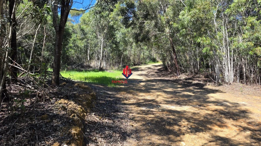 Terreno Agricola ou Rústico para Venda em Bensafrim e Barão de São João Foto 3