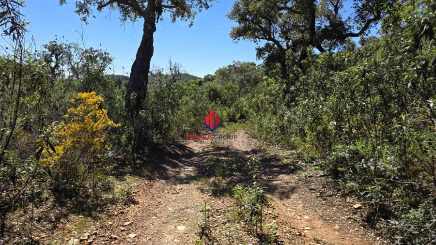 Terreno Agricola ou Rústico para Venda em Bensafrim e Barão de São João Foto 10