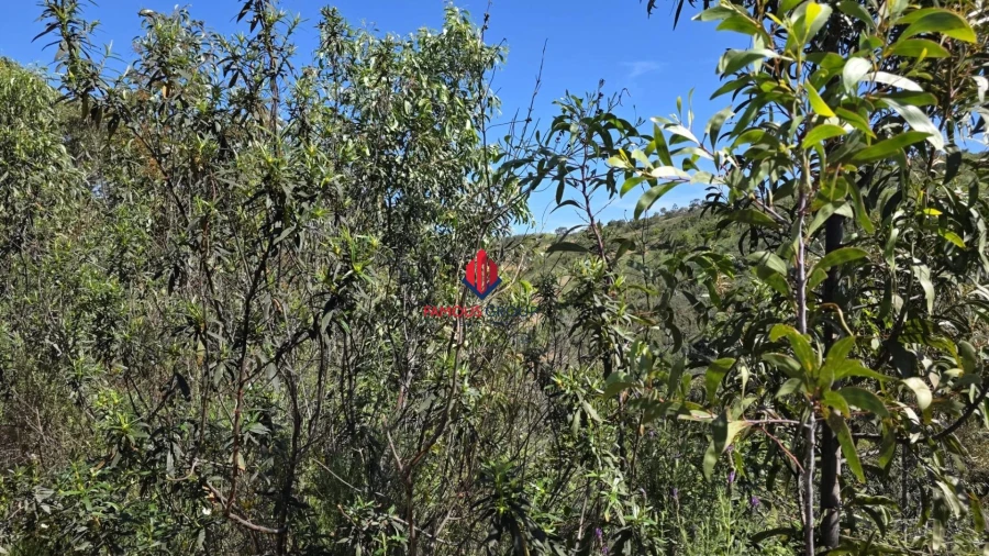 Terreno Agricola ou Rústico para Venda em Bensafrim e Barão de São João Foto 22