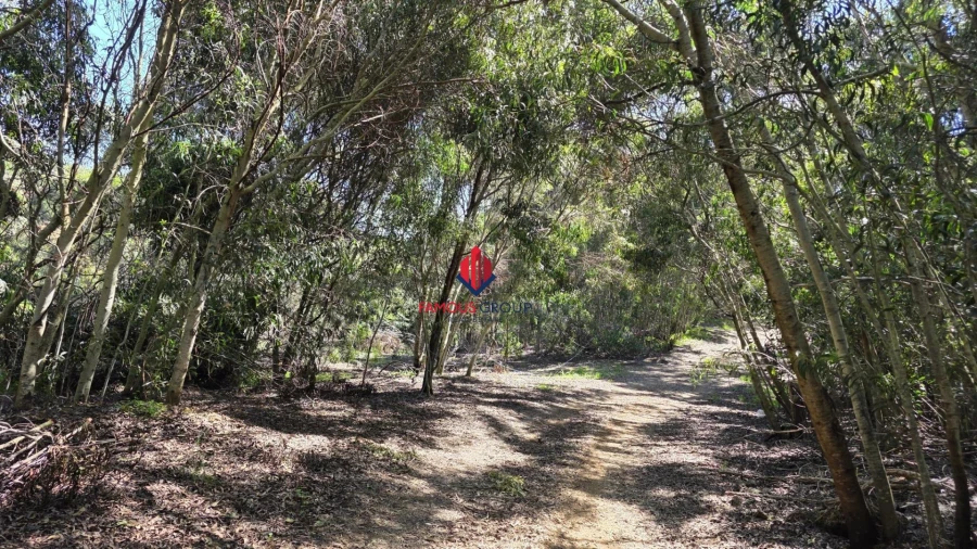 Terreno Agricola ou Rústico para Venda em Bensafrim e Barão de São João Foto 3