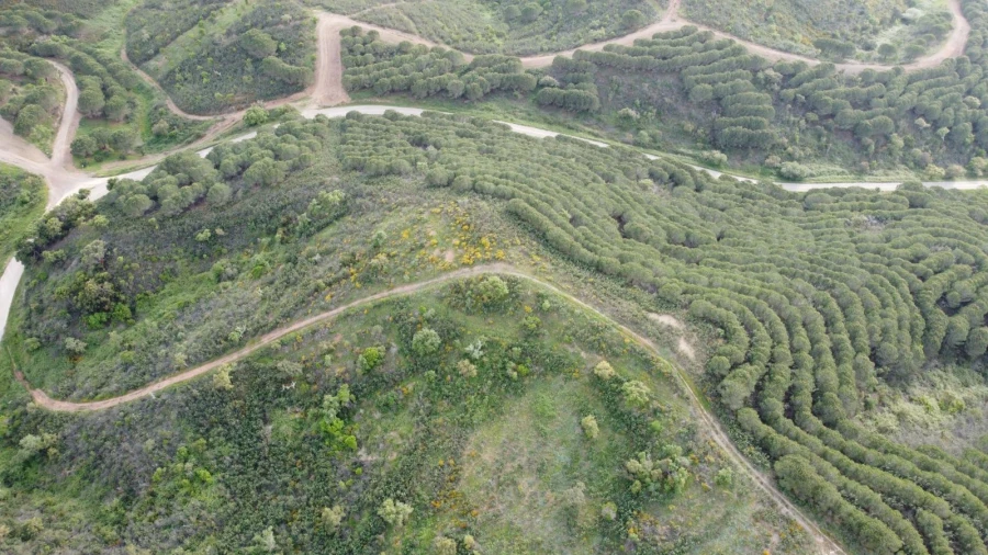 Terreno Agricola ou Rústico para Venda em Bensafrim e Barão de São João Foto 39