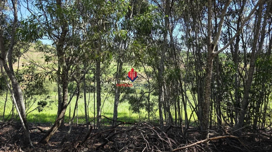 Terreno Agricola ou Rústico para Venda em Bensafrim e Barão de São João Foto 3