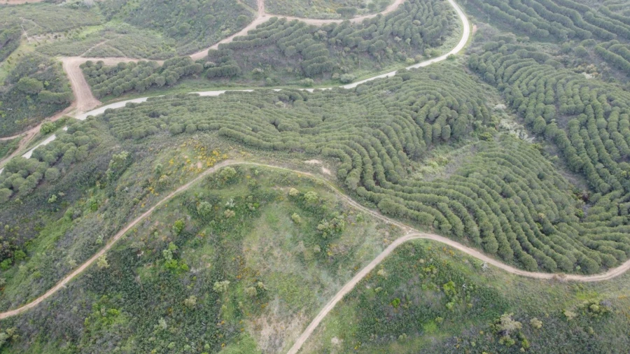 Terreno Agricola ou Rústico para Venda em Bensafrim e Barão de São João Foto 40
