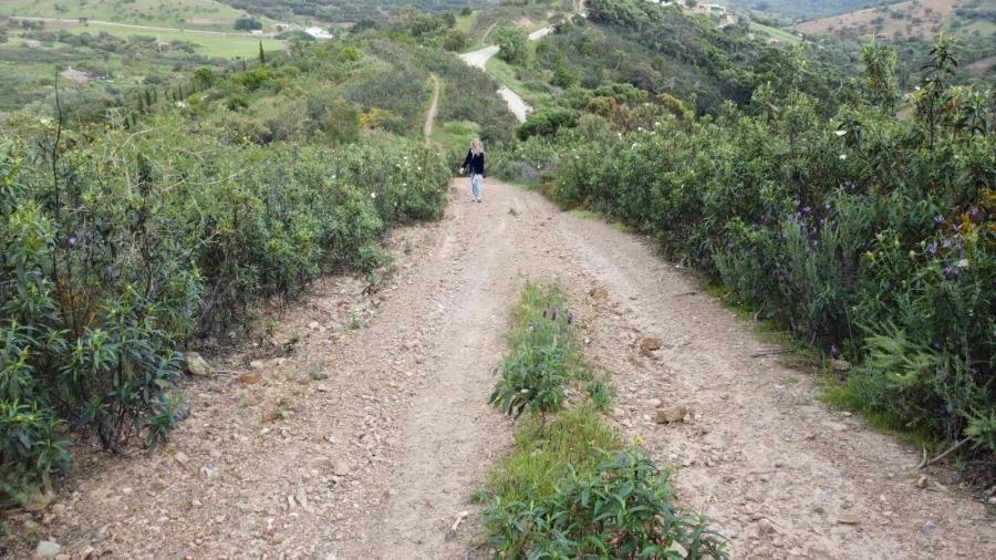 Terreno Agricola ou Rústico para Venda em Bensafrim e Barão de São João Foto 44