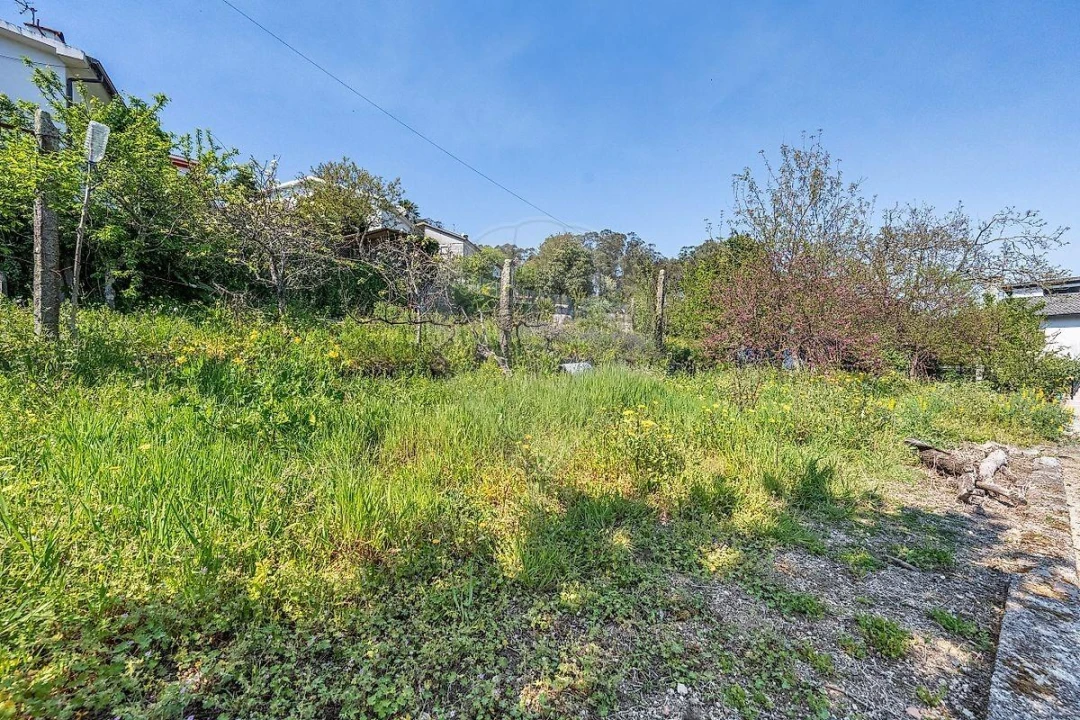 Moradia T3 para Venda em Cruz Foto 16