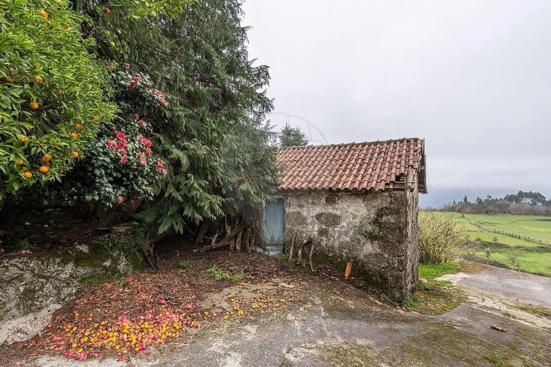 Moradia T3 para Venda em Valdosende Foto 33