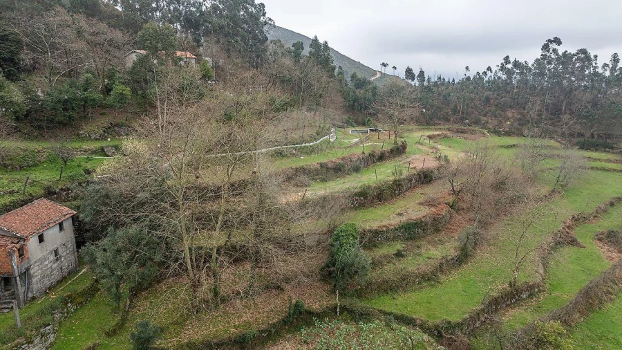 Moradia T3 para Venda em Valdosende Foto 31
