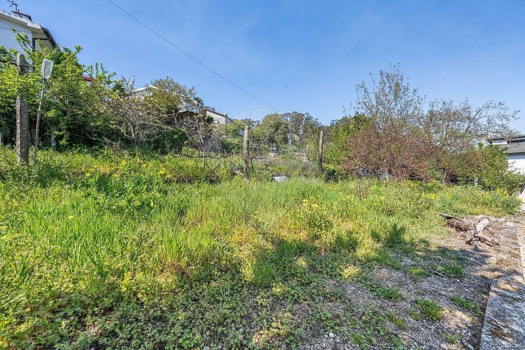 Moradia T3 para Venda em Cruz Foto 17