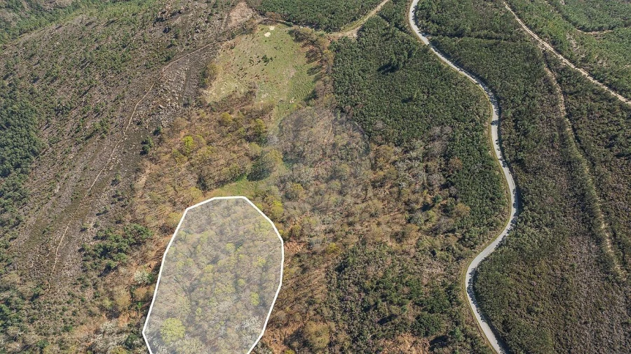 Moradia T5 para Venda em Salto Foto 43