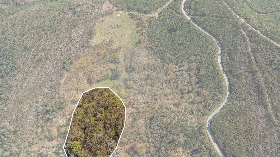 Moradia T5 para Venda em Salto Foto 44