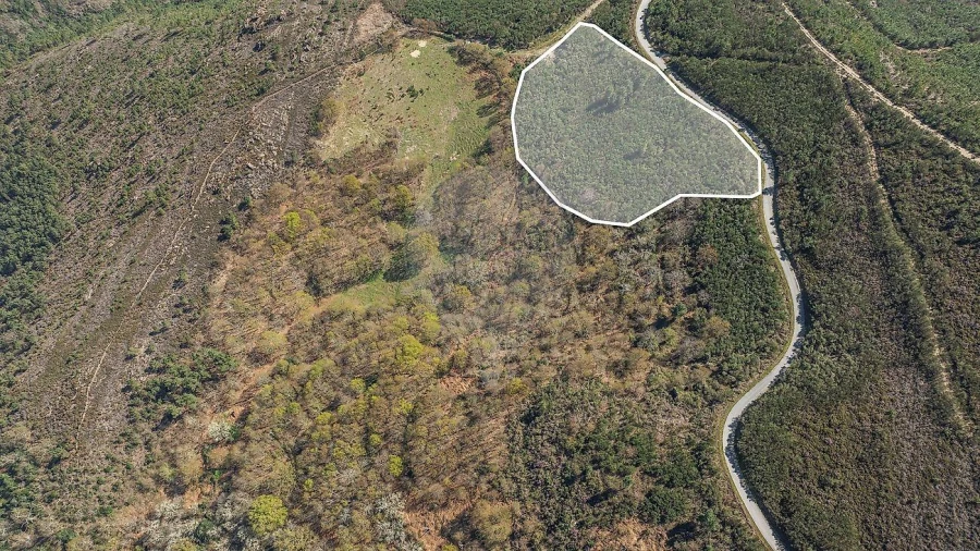 Moradia T5 para Venda em Salto Foto 45