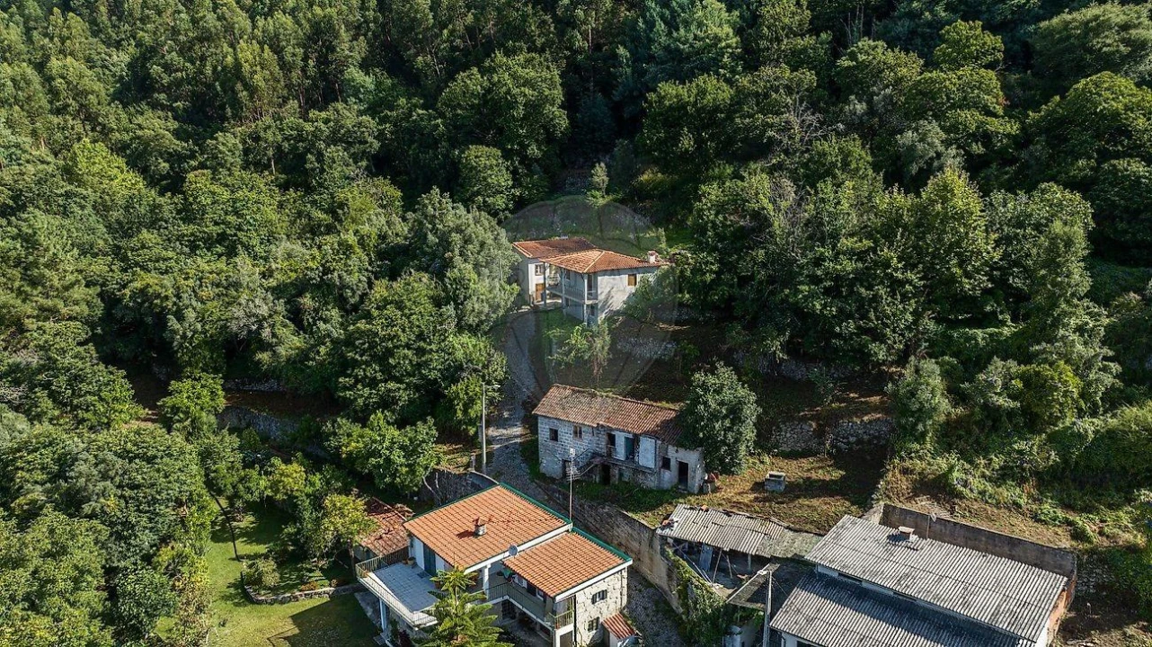 Moradia T3 para Venda em Bouro (Santa Marta) Foto 9