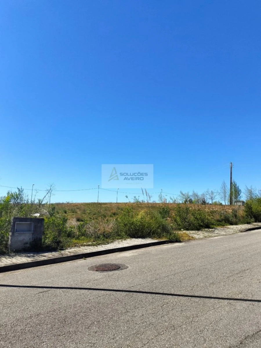 Terreno para Venda em Valongo do Vouga Foto 2