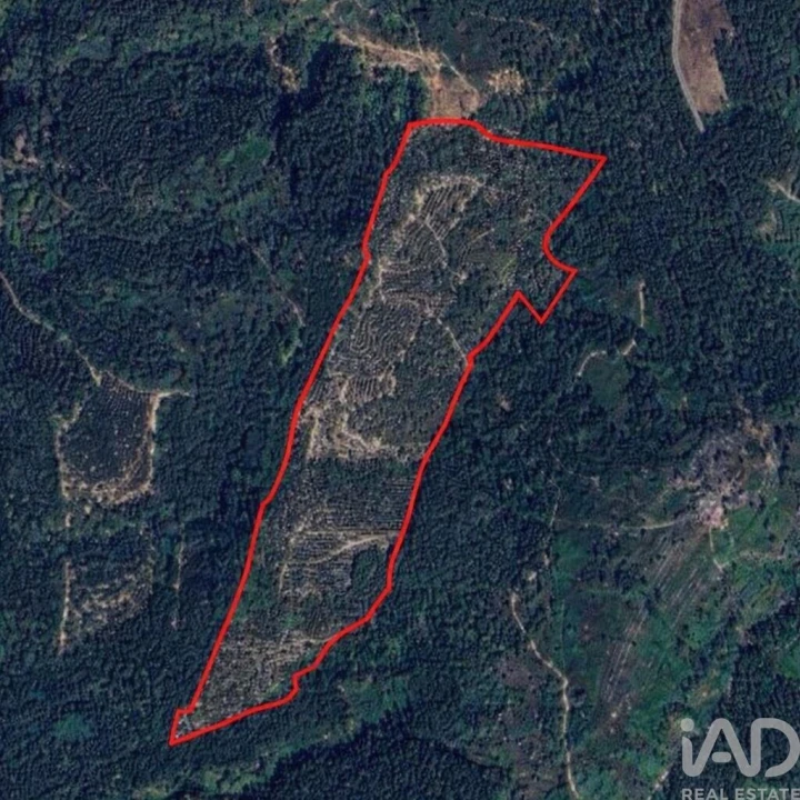 Terreno para Venda em Galegos Foto 3