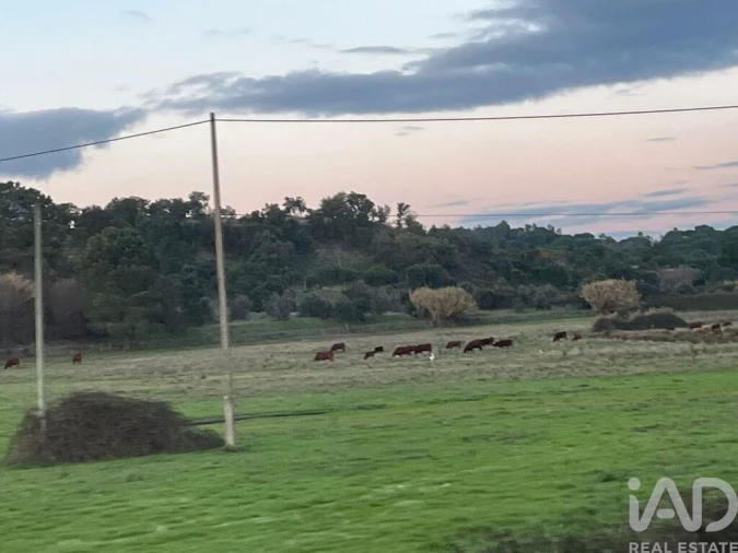 Moradia T5 para Venda em Coruche, Fajarda e Erra Foto 18